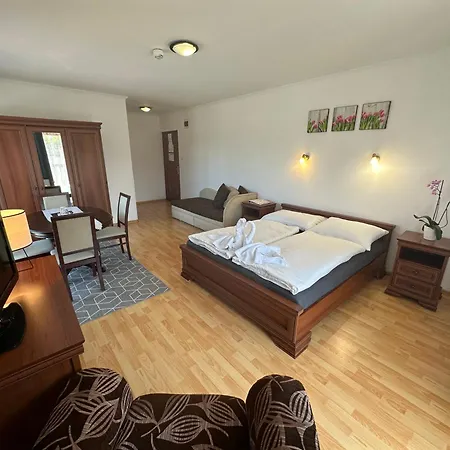 Отель Boni Csaladi Wellness