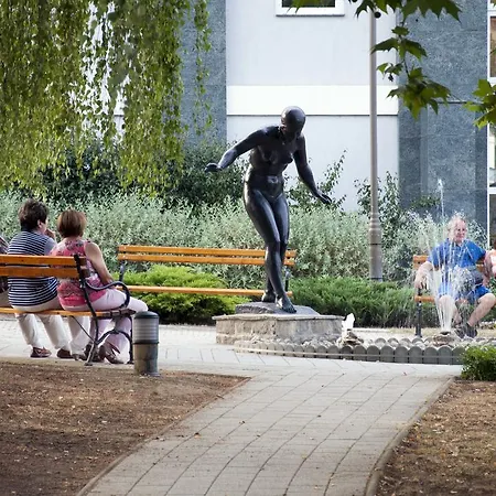 Boni Csaladi Wellness