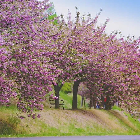 Boni Csaladi Wellness Hotel