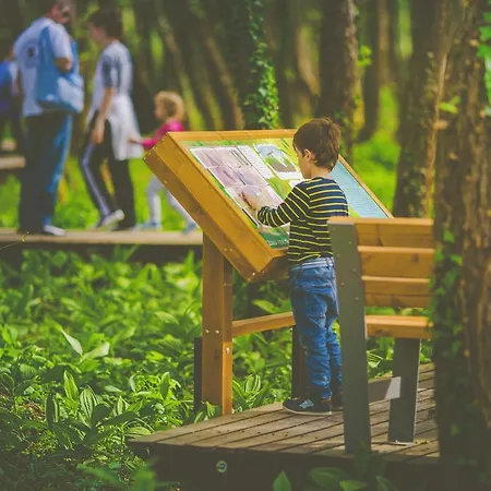 Boni Csaladi Wellness ホテル