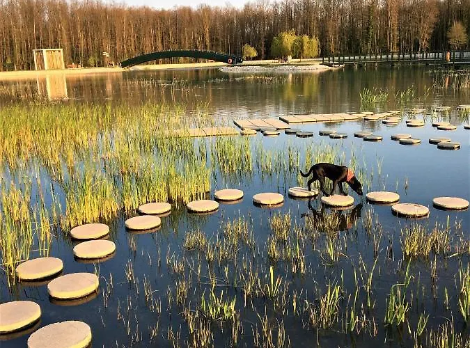 Hotel Boni Csaladi Wellness