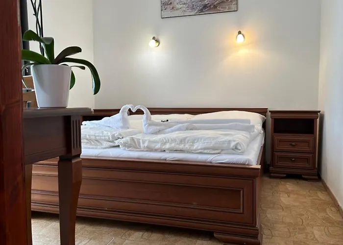 ホテル Boni Csaladi Wellness 3*