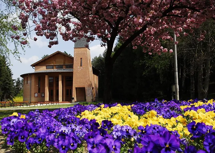 Boni Csaladi Wellness ホテル