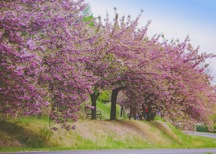 Boni Csaladi Wellness Hotel